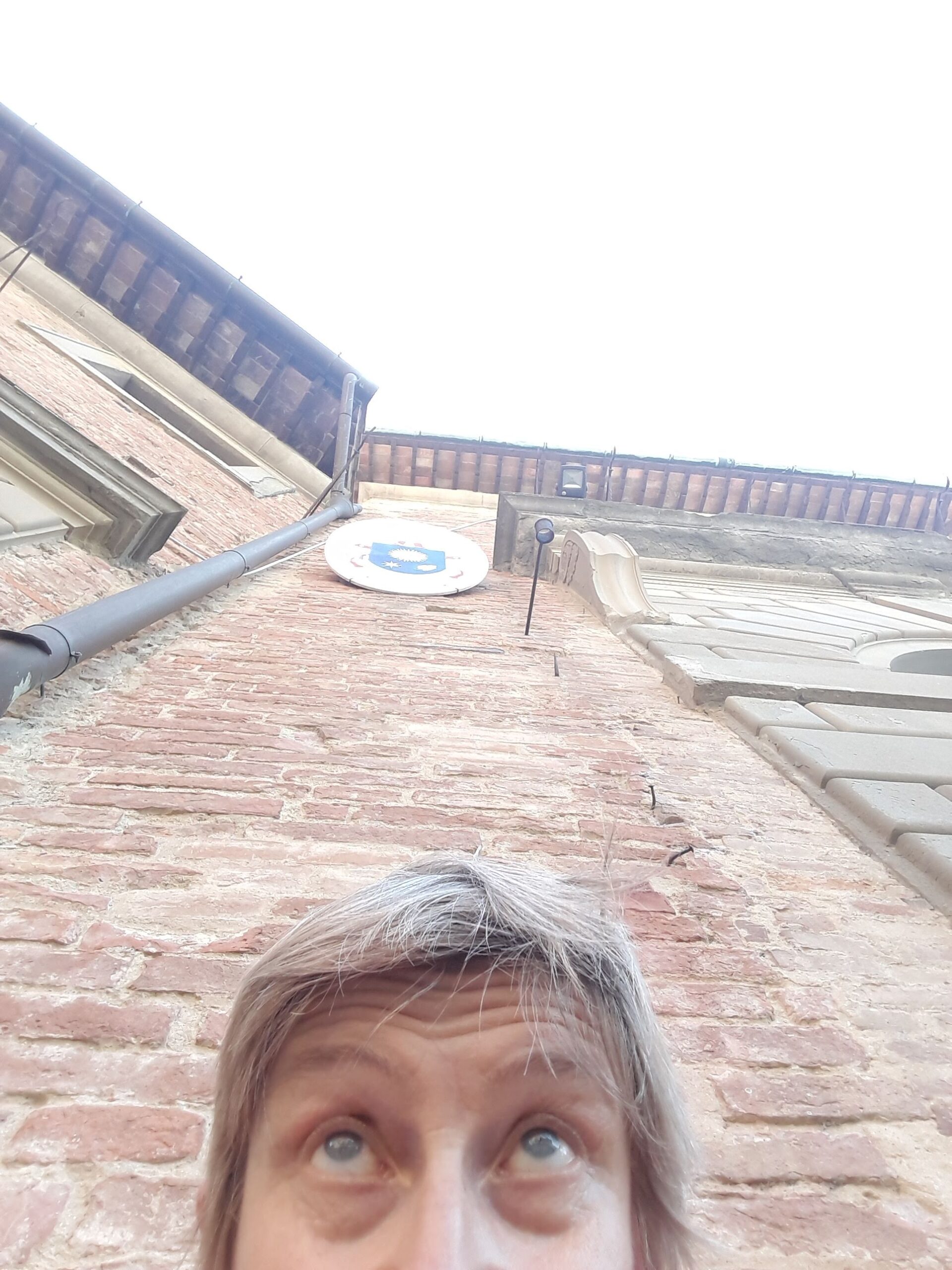 Selfie insolito