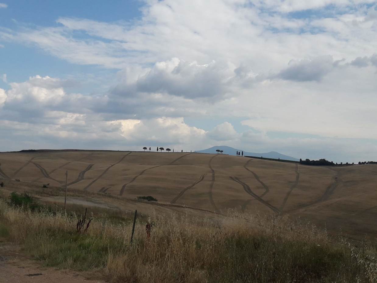 Natura punk