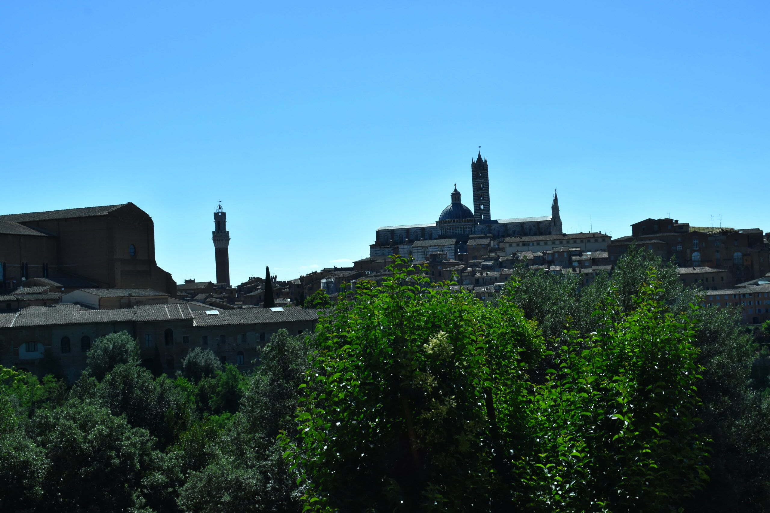 Siena laggiù