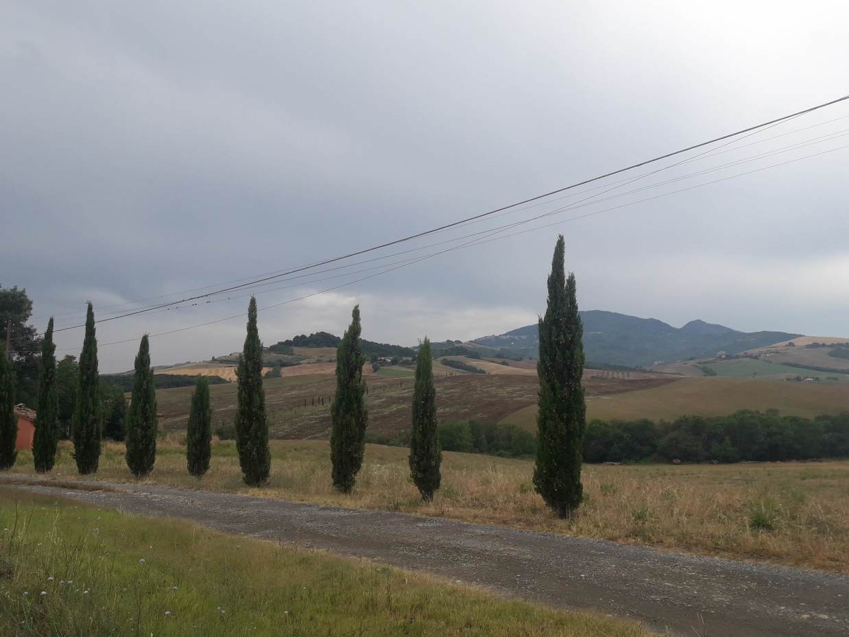 Cielo catarroso