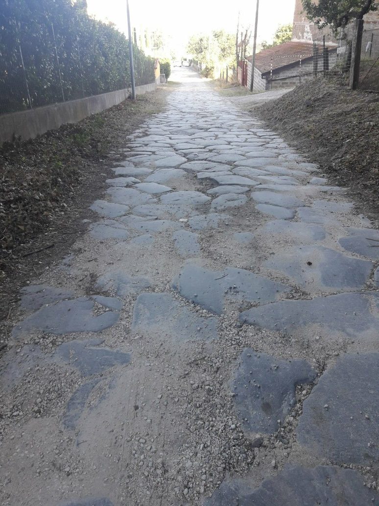 MIllenni sotto le ruote